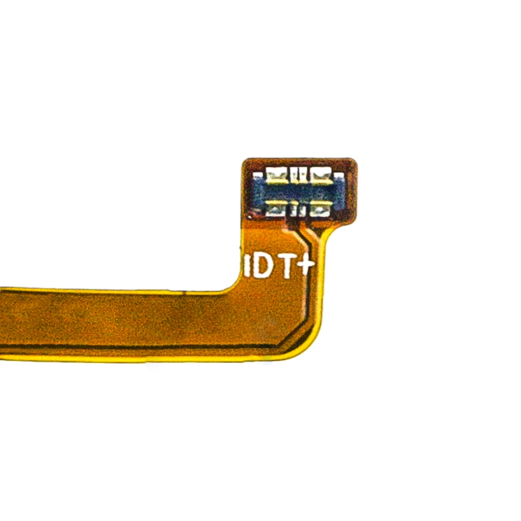 CS-OTL605SL